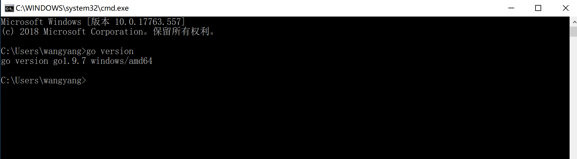 你想输入的替代文字